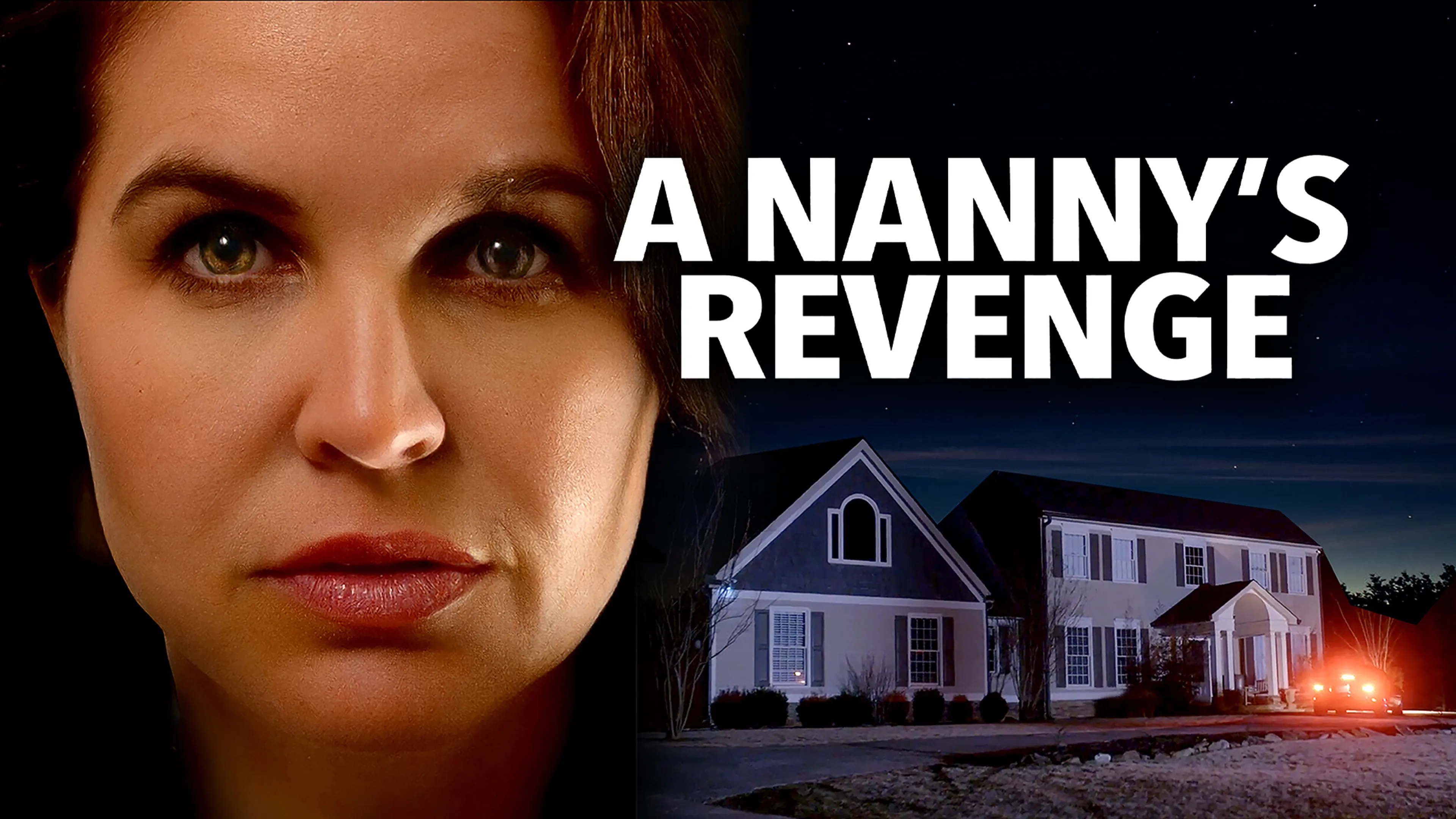 A Nanny's Revenge poster